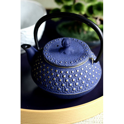 original photo taken at TSURU-IPPUKU Kyoto shop – Nambu iron teapot
